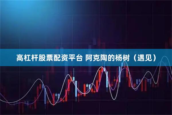 高杠杆股票配资平台 阿克陶的杨树（遇见）