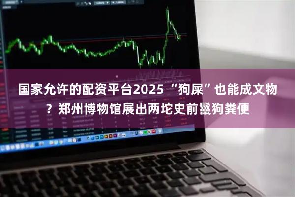 国家允许的配资平台2025 “狗屎”也能成文物？郑州博物馆展出两坨史前鬣狗粪便