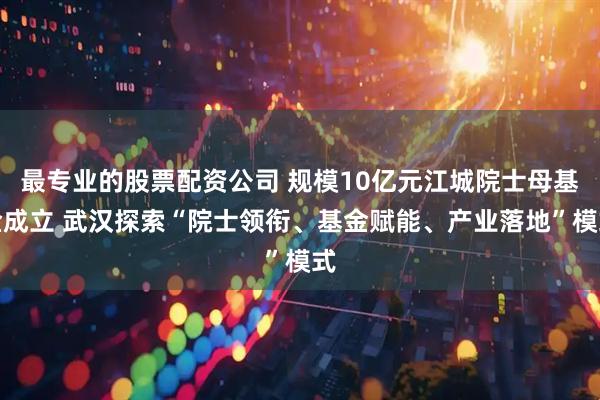 最专业的股票配资公司 规模10亿元江城院士母基金成立 武汉探索“院士领衔、基金赋能、产业落地”模式